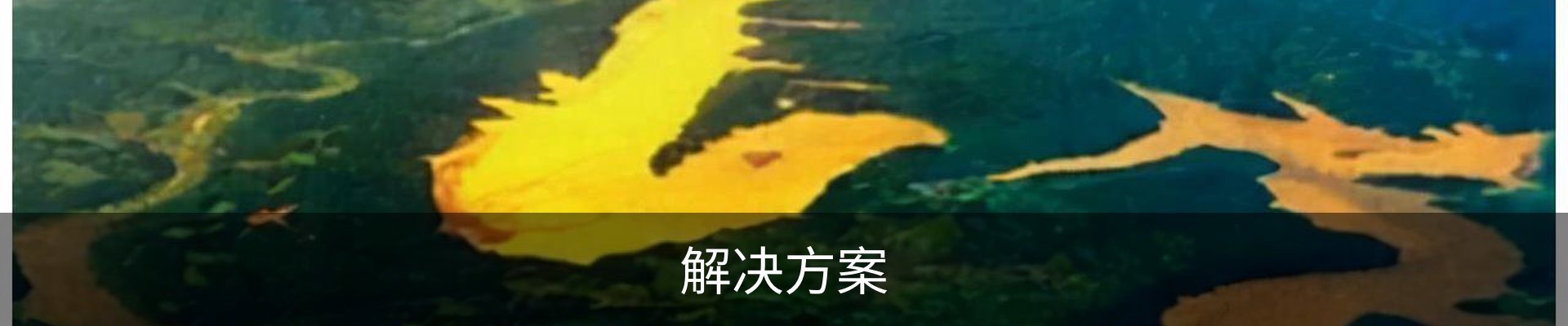 解决方案